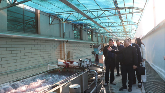 雙清區(qū)委書(shū)記曾秦偉帶隊(duì)走訪天香生物參觀調(diào)研，助力鄉(xiāng)村振興