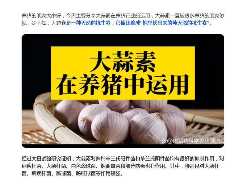 大蒜素在養(yǎng)豬行業(yè)的運(yùn)用，您了解多少？